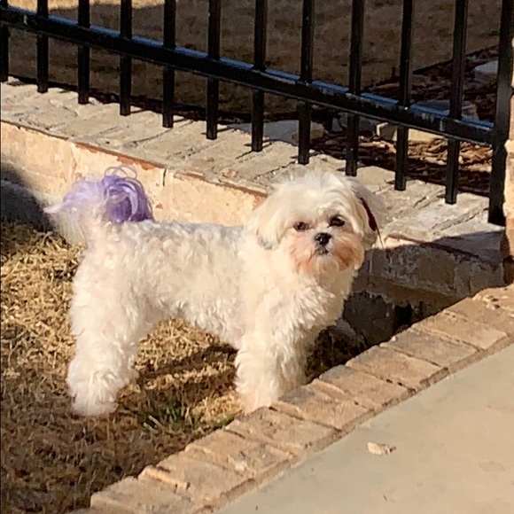 Meet your Posher, Kim - Picture 1 of 1